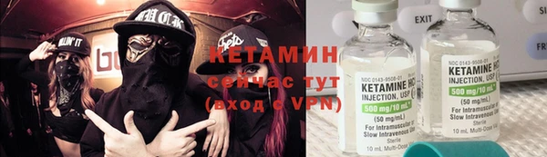 прущие грибы Тавда