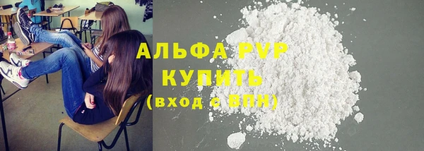 PSILOCYBIN Строитель