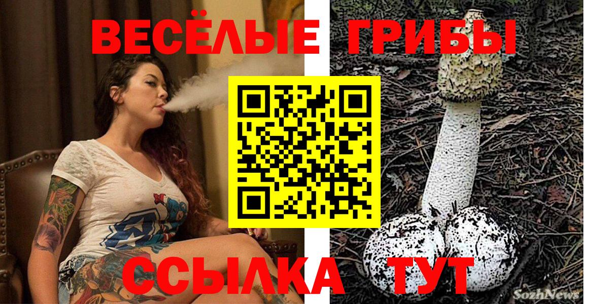 Снежинск  что такое   Вход с VPN  Галлюциногенные грибы GOLDEN TEACHER 