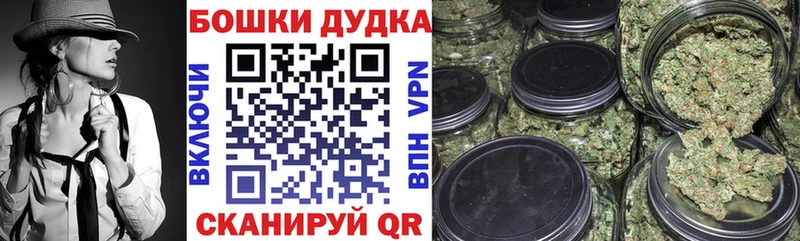 KRAKEN как зайти  Снежинск  Бошки Шишки план 